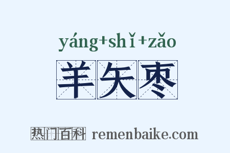 羊矢枣是什么意思的图片